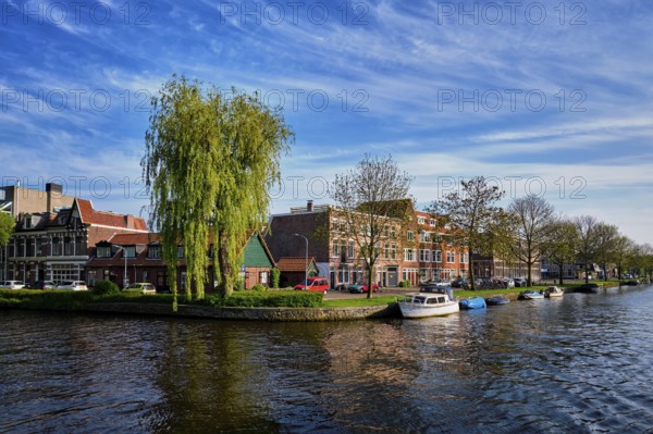 Boats and houses and canal. Harlem, Netherlands