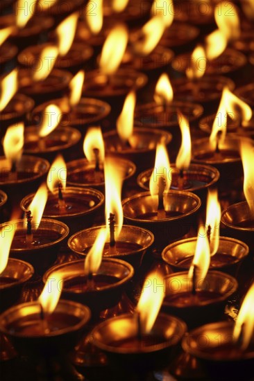 Burning candles in Buddhist temple. Dharamsala, Himachal Pradesh, India, Asia
