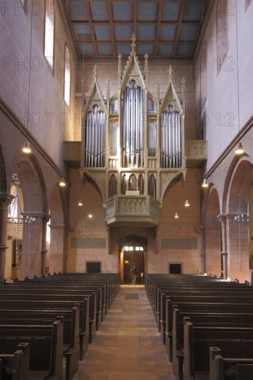 Interior view with organ of the Romanesque Gothic Marienkirche and landmark of Gelnhausen, Hesse,