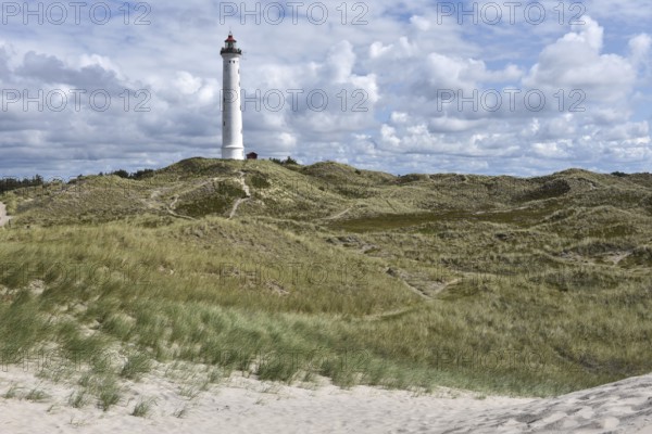 Lyngvig Lighthouse, Lyngvig Fyr in the dunes of Denmark