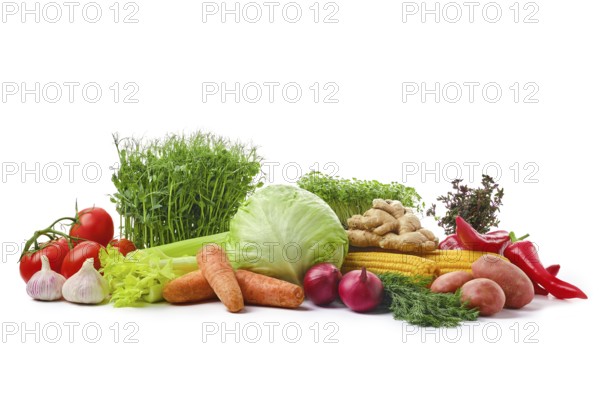 Variety of fresh juicy vegetables on white background. World food day concept