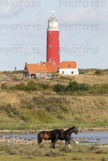 Lighthouse, De Cocksdorp, Texel, Netherlands