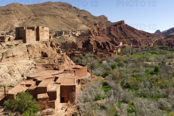Morocco, Dades Valley, Valley of the Kasbahs, Dade Gorge, High Atlas, Ait Ibrirne, Africa