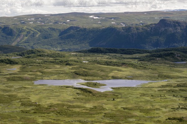 Tundra landscape with birch forests and lakes, Fjell, Øystre Slidre, Jotunheimen National Park,