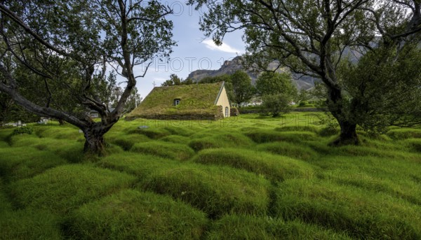 Hofskirkja church with grass roof and grass-covered graves, Öræfi region, South Iceland, Iceland,