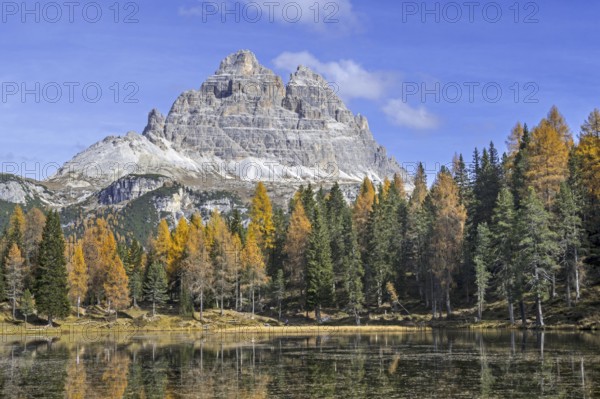 Mountain Drei Zinnen and larch trees in autumn colours around Lake Lago d'Antorno in the Tre Cime