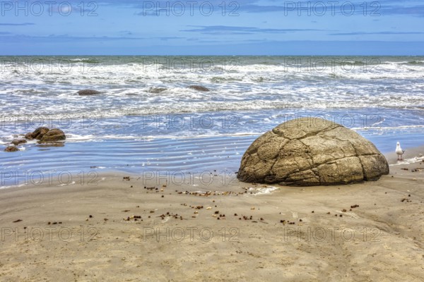 Moeraki Boulders Beach, Otago, Neuseeland