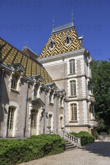 Castle of Aloxe-Corton, Winery, Route des Grands-Grus, Route of Fine Wines, Côte-d'Or Department,