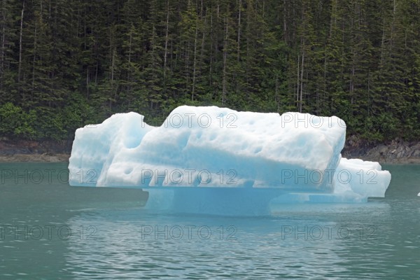 Small piece of ice from a glacier calving into the sea, Tracy Arm Fiord, Tongass National Forest,
