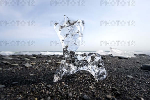Ice, piece of ice on black sand beach, on black lava beach Diamond Beach, Southeast Iceland,