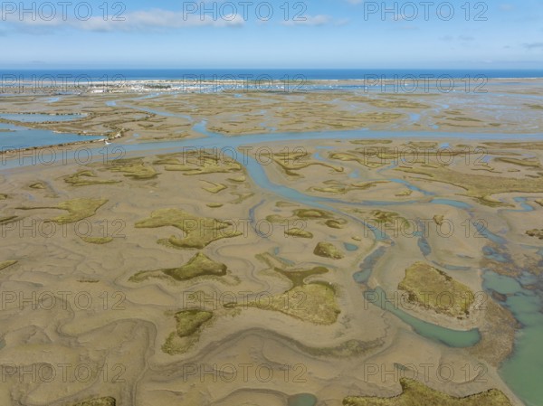 Network of channels and streams at low tide, in the marshland of the Bahía de Cádiz, in the