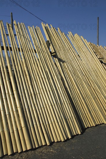 Bamboo poles, processing, products, poles, Kyoto, Japan, Asia