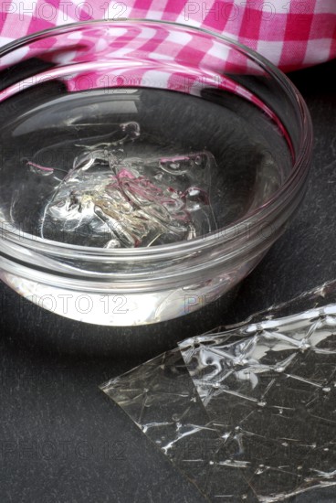 Leaf gelatine, soaked in bowl with water, gelatine leaf, edible gelatine, gelling agent