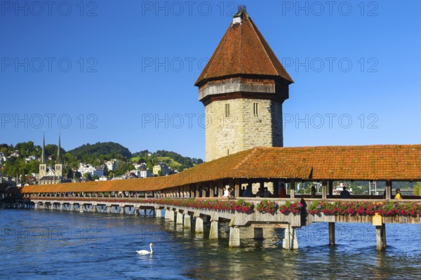 Chapel Bridge, Reuß, Lucerne, Switzerland, Europe