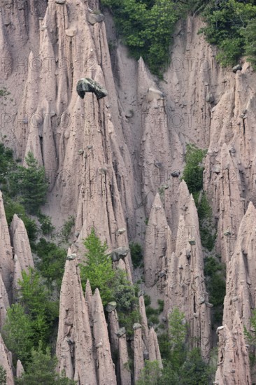 The earth pyramids, fairy chimneys of Longomoso, Lengmoos, Monti di Mezzo on the Renon plateau,