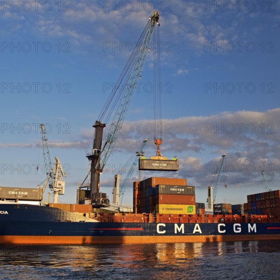 Container ship loading in Steinwerder Harbour at the South-West Terminal, Norderelbe, Hamburg,