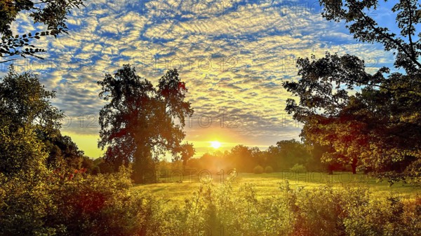 Sunrise, floodplain meadows, floodplain landscape on the Middle Elbe, morning mist, fog, sunrays,