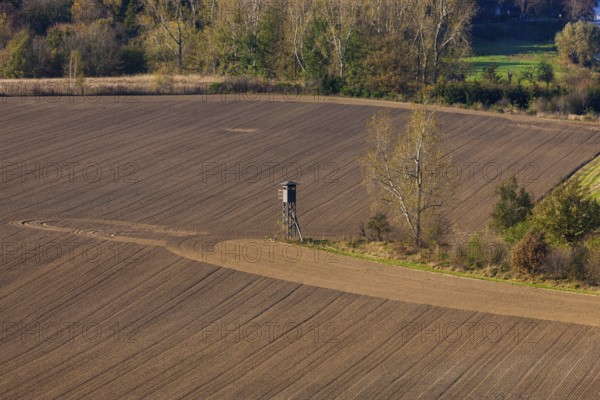 Fields near Diesbar Seußlitz