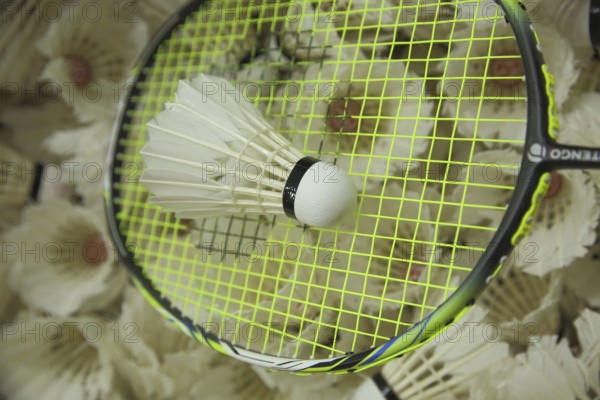 Badminton racket with shuttlecocks, pile, amount, number, much, sport, badminton, game ball, sports