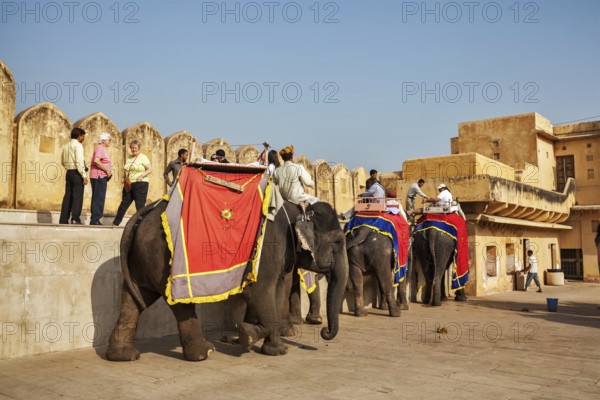 JAIPUR, INDIA, NOVEMBER, 18: Tourists riding elephants in Amber fort, Rajasthan, Elephant ride is a