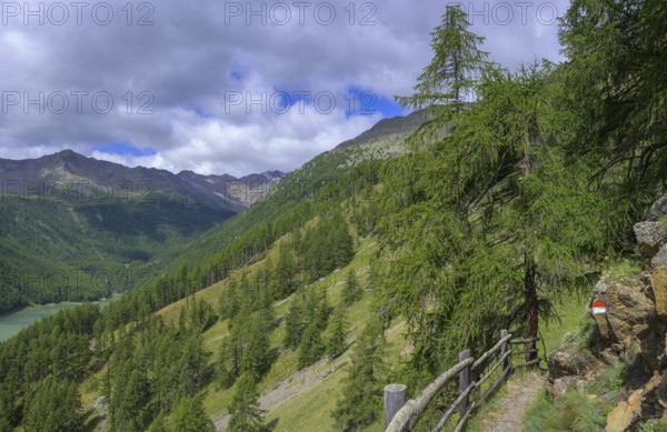 Hiking trail to the Finalhof, Schnalstal Valley, Vernagt, South Tyrol, Italy, Europe