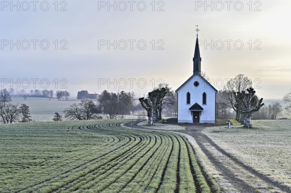 Roman Catholic St John's Chapel, behind Reussal in the early morning mist, Aristau, Freiamt, Canton