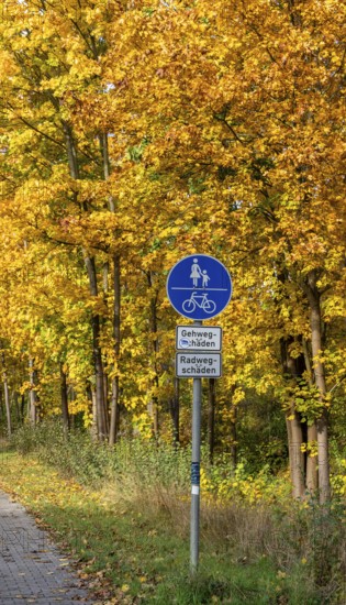 Autumn time, federal road B 96 to Schildow, Berlin, Germany, Europe
