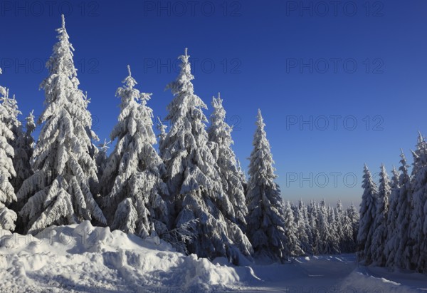 Winter landscape in the Fichtelgebirge, Bayreuth district, Upper Franconia, Bavaria, Germany,
