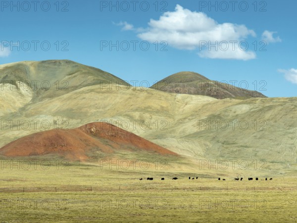 Mountains and pasture landscape, highlands of Tibet, China, Asia