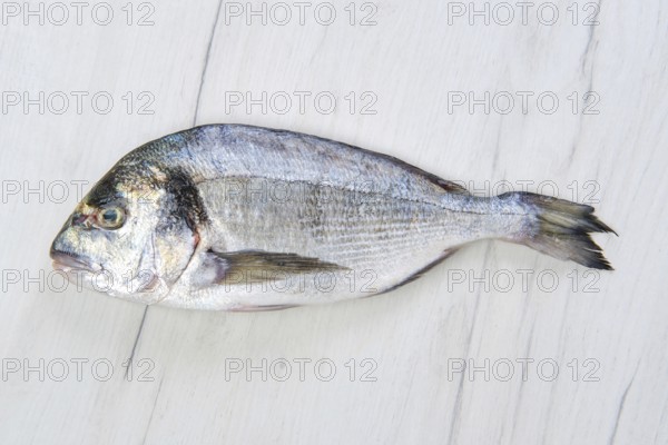 Raw dorada fish on black stone table