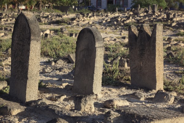 Historic Arab cemetery at Al-Baleed excavation site, Unesco World Heritage Site, Oman, Asia