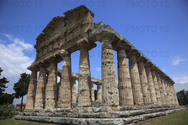 The Athenaion, Temple of Ceres or Temple of Athena in Paestum, Campania, Italy, Europe