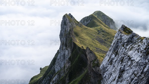 Mountain ridge in the Alpstein, high fog in the valley, Säntis, Appenzell Ausserrhoden, Appenzell