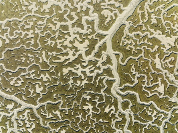 Network of dry channels and streams at low tide, in the marshland of the Bahía de Cádiz, aerial