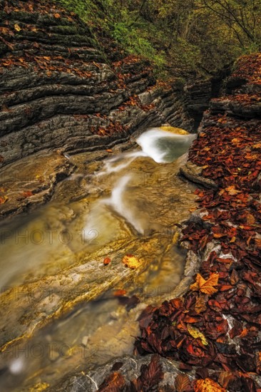 Autumn atmosphere at the Kolomanbach, Seewaldsee nature reserve, ST. Koloman, ÔøOstereich
