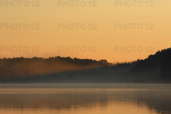 Foggy mood with a ray of light from the rising sun over a lake in Mecklenburg, Müritz National