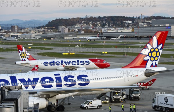 Two Airbus aircraft of the Swiss holiday airline Edelweiss Air at Zurich Airport, Zurich,
