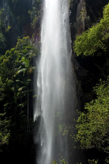Protesters falls waterfall with palm trees, water, fresh, nature, environment, Nightcap National