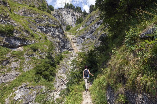 Hiker in Hirschbergtobel, Bad Hindelang, Hiker in Hirschbergtobel, Bad Hindelang, Oberallgäu,