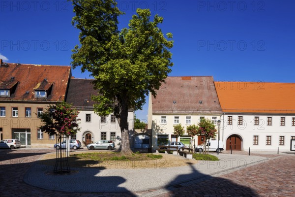 Belgern
