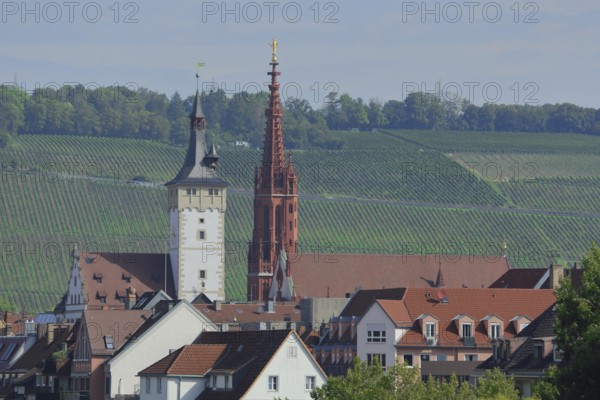View from Marienberg to tower of Grafeneckart town hall, Gothic Lady Chapel and vineyards,