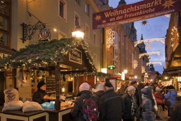 Christmas market in the Münzgasse in Dresden's Old Town in the immediate vicinity of the Church of