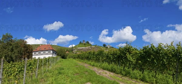 Hoflößnitz Winery in Radebeul