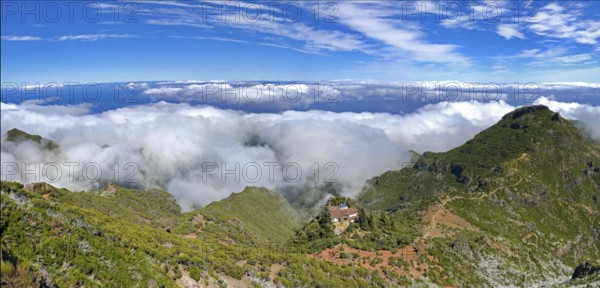 Pico Ruivo (1. 862 m) View from Madeira's highest peak, spectacular view, vegetation, above cloud