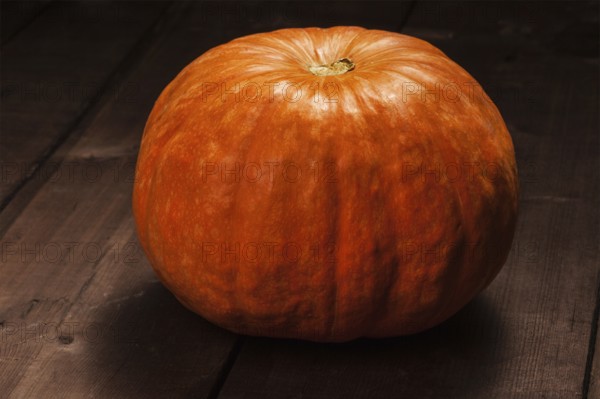 Orange pumpkin on wooden background