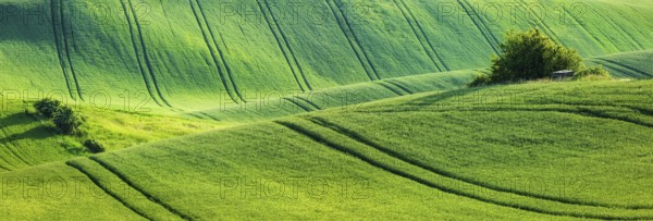 European rural wallpaper, panorama of Moravian rolling landscape, Moravia, Czech Republic, Europe
