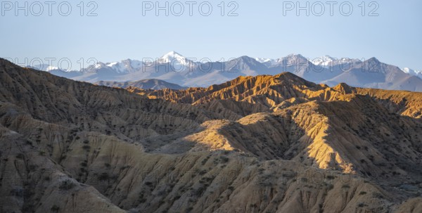 Landscape of eroded hills at sunrise, badlands, white mountain peaks of the Tian Shan Mountains in