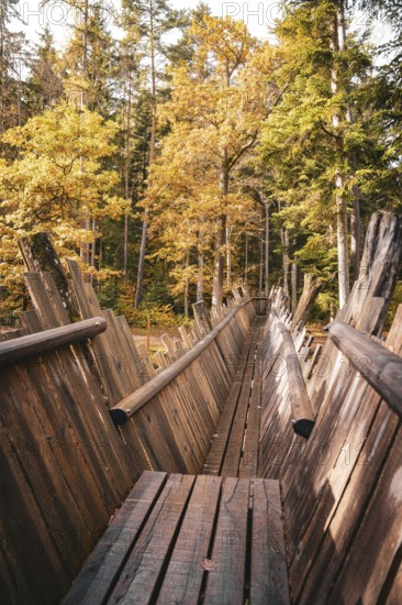 Old wooden bridge with railings in autumn forest, Calw, Black Forest, Germany, Europe