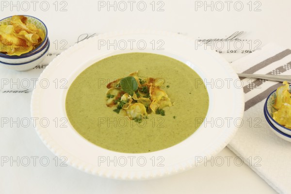 Swabian cuisine, cress soup with crisps, cress, plate with green cream soup, soup plate, garnished