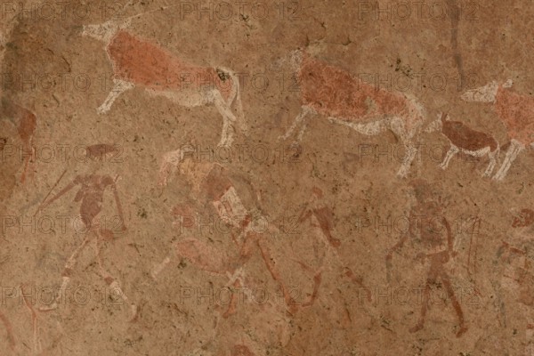 Rock paintings, Tsisab gorge, Brandberg, Erongo region, Namibia, Africa